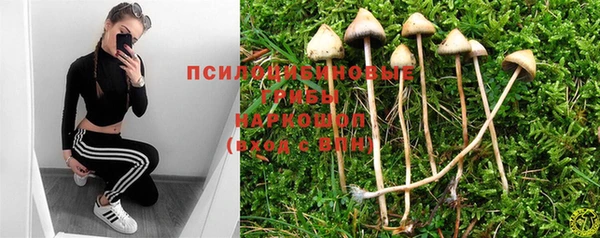 PSILOCYBIN Волоколамск